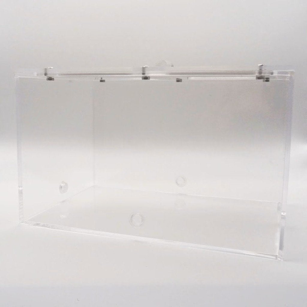 Arena 20x14x12.5 I Middel I Medium I Mieren I insecten, Mieren