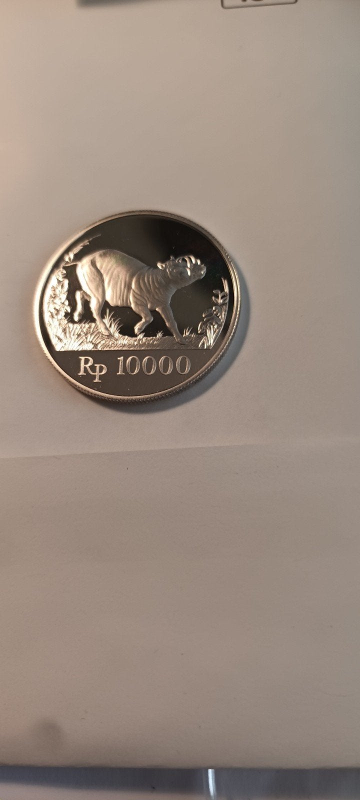 Zilveren munt Indonesië 1987 - 10000 Rp - Capybara, Postzegels en Munten, Ophalen of Verzenden