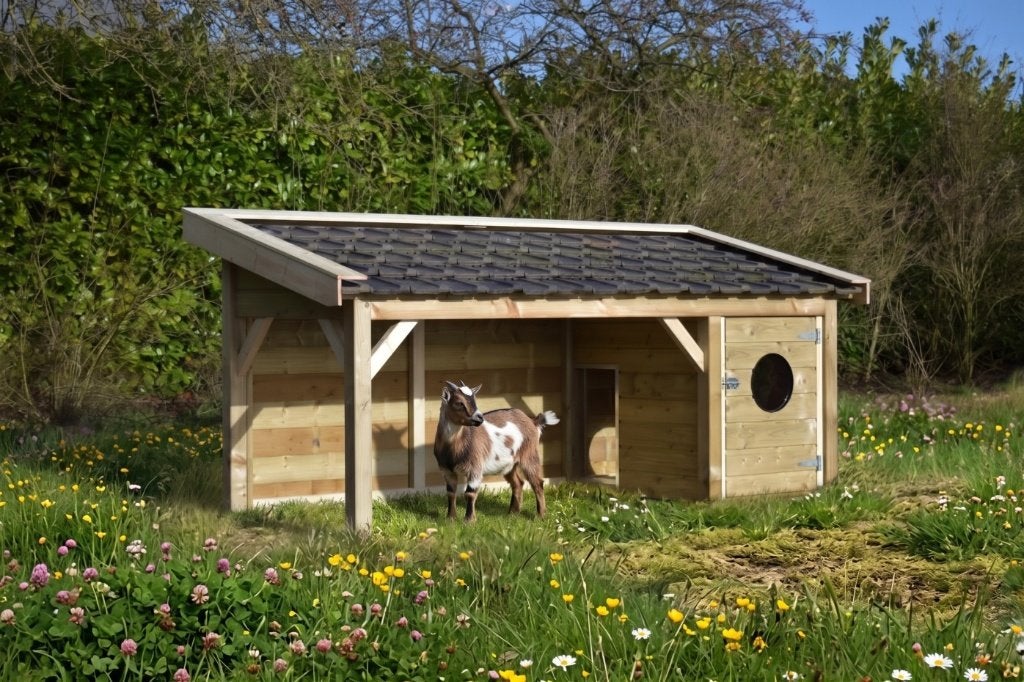Pracht Schuilhok / Nachthok Rico voor Dwerggeiten & Schapen!, Dieren en Toebehoren, Stalling