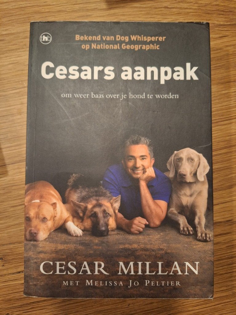 Cesars aanpak - cesar millan ISBN: 9789044331202, Boeken, Dieren en Huisdieren, Ophalen of Verzenden, Gelezen, Honden