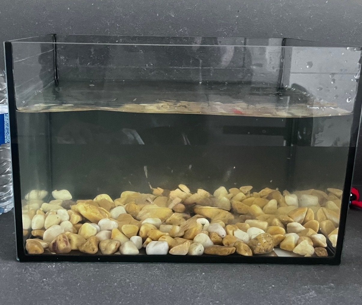 Aquarium, Ophalen of Verzenden, Zo goed als nieuw, Leeg aquarium