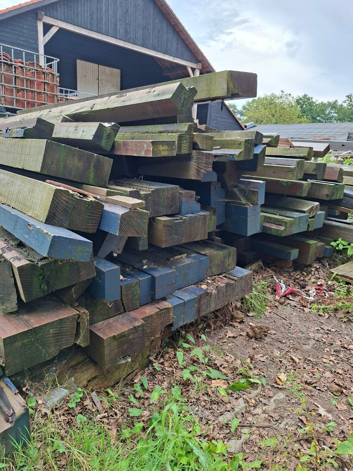 20 m3 Redwood (Sequoia) Hout - Diverse Afmetingen, Ophalen, Nieuw