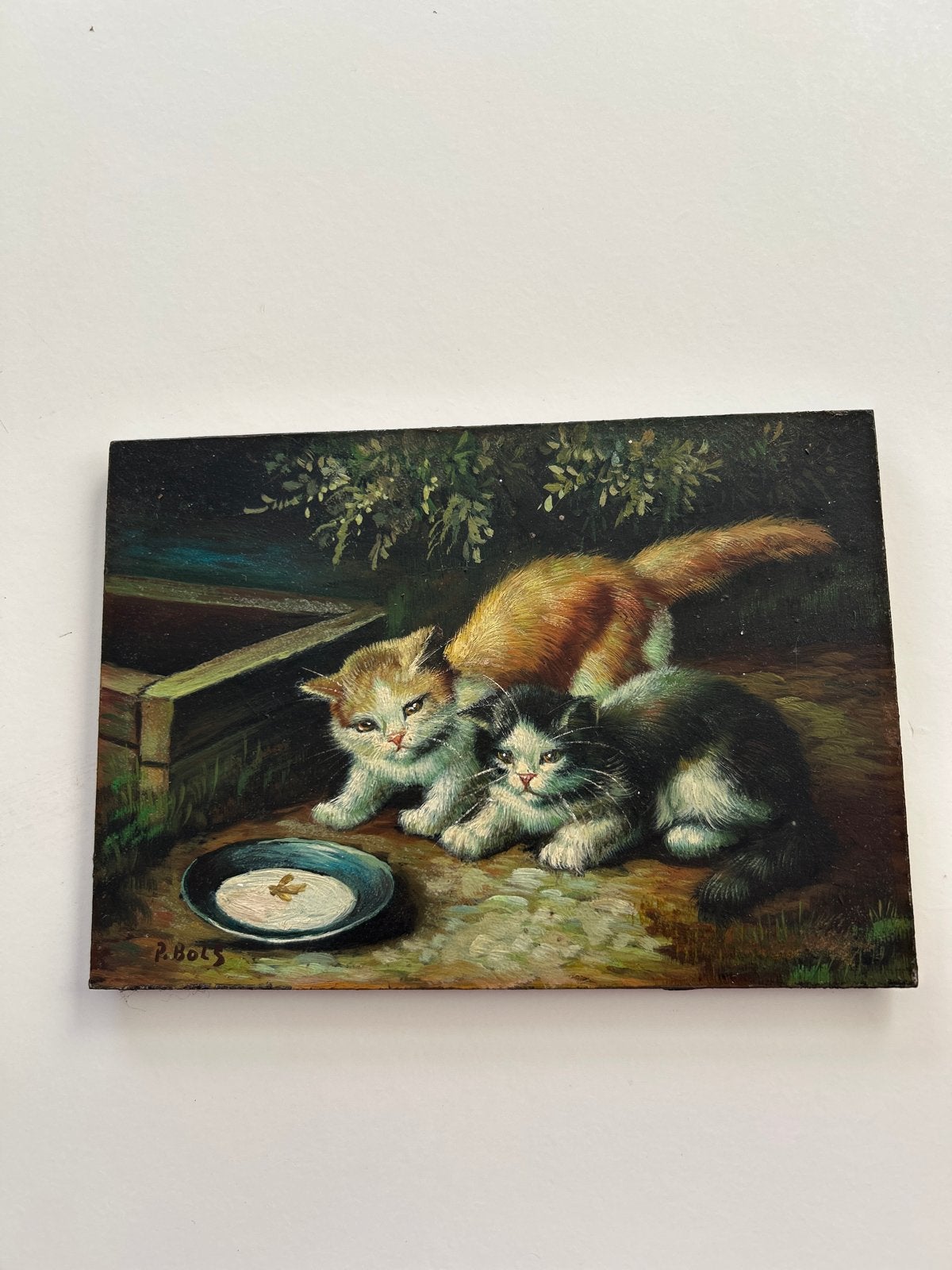 Geschilderd houten paneeltje met poesjes van P Bols, Antiek en Kunst, Kunst | Schilderijen | Klassiek, Ophalen of Verzenden, Olieverf