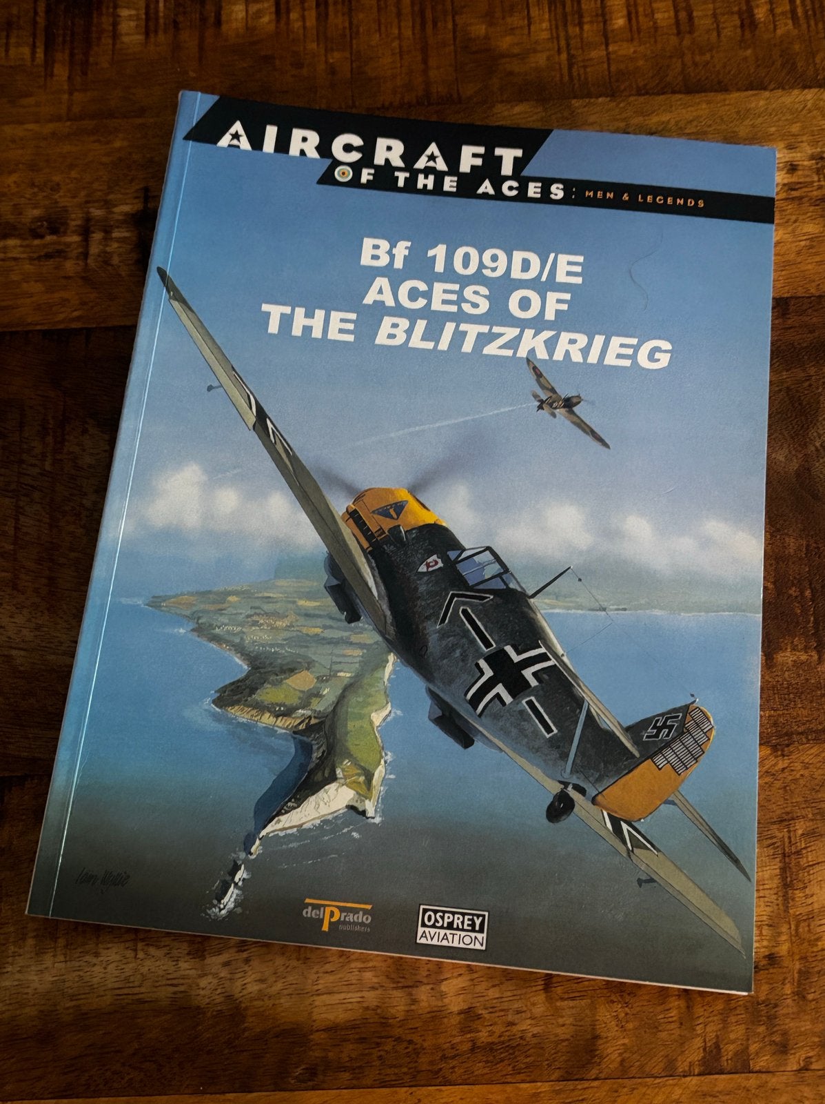 Bf109 Aces of the Blitzkrieg, Ophalen of Verzenden, Tweede Wereldoorlog, Zo goed als nieuw