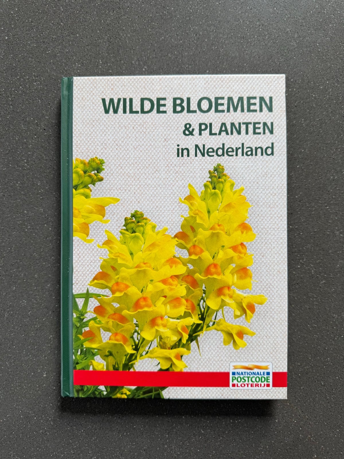 Wilde Bloemen & Planten in Nederland - Natuurgids, Ophalen of Verzenden, Nieuw, Bloemen, Planten en Bomen