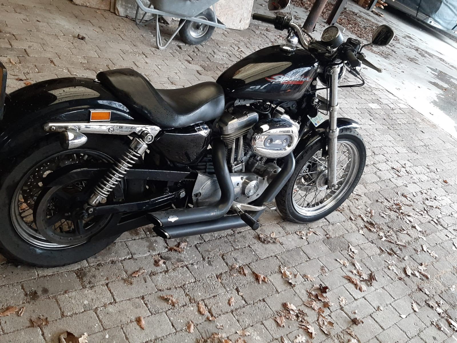 Harley-Davidson Sportster 883, Motoren, Motoren | Harley-Davidson, 2 cilinders, Gebruikt, Particulier, Meer dan 35 kW