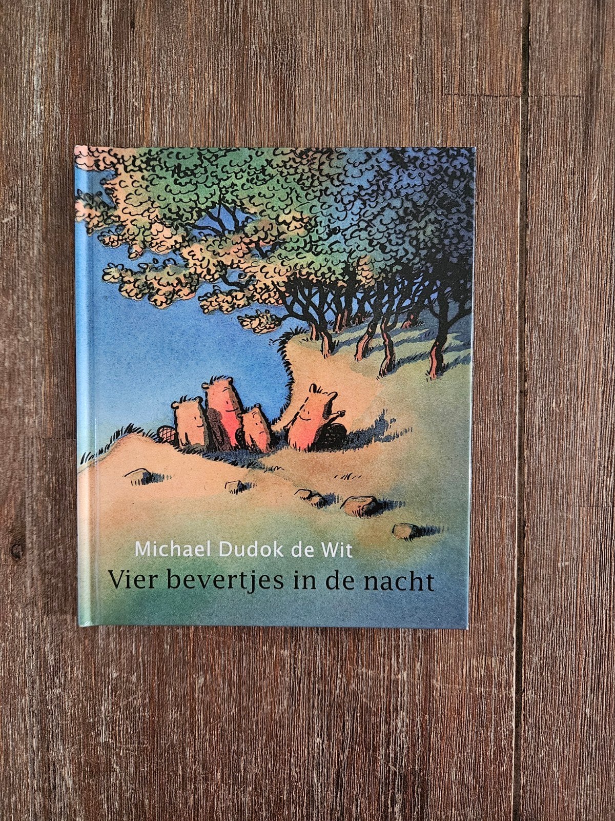 Vier bevertjes in de nacht - Michael Dudok de Wit (2003), Ophalen of Verzenden, Michael Dudok de Wit