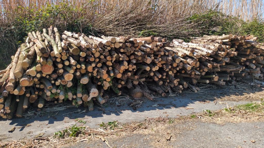 Haardhoutstammen, verkoop per kuub, Tuin en Terras, Haardhout, 6 m³ of meer, Ophalen, Eikenhout, Stammen