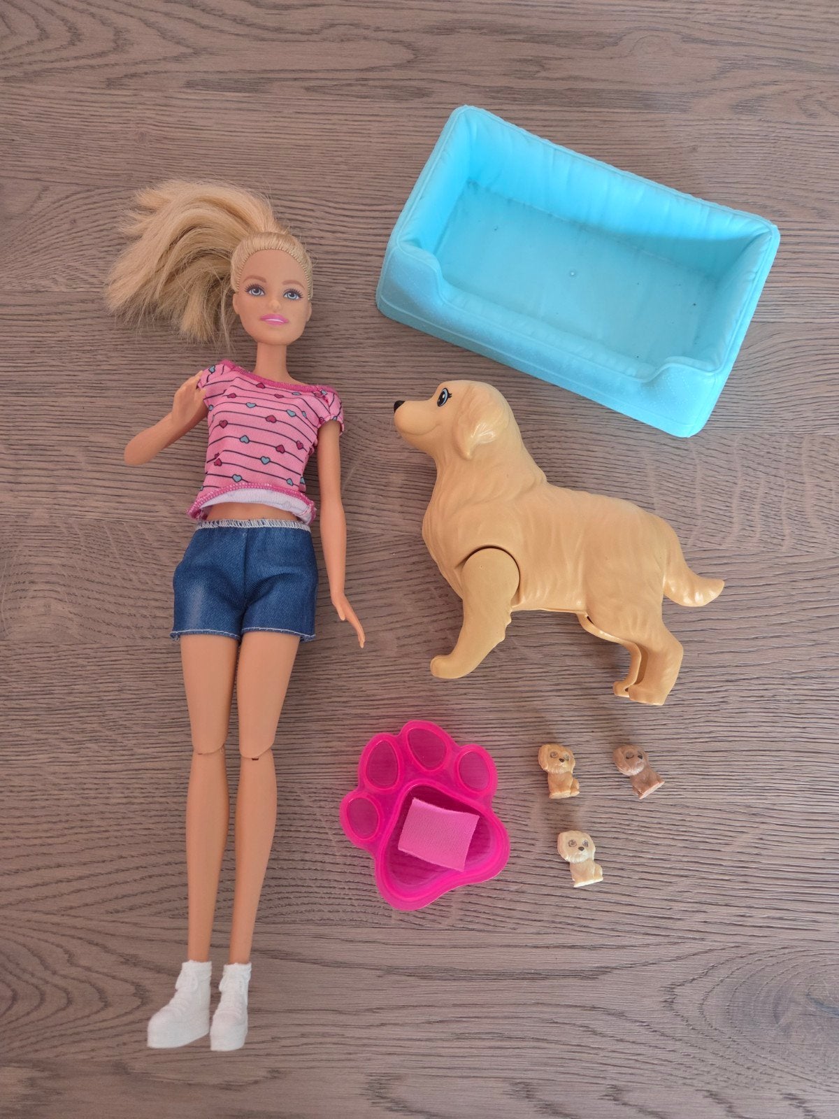 Barbie pop met hondjes en accessoires, Ophalen of Verzenden, Gebruikt, Barbie
