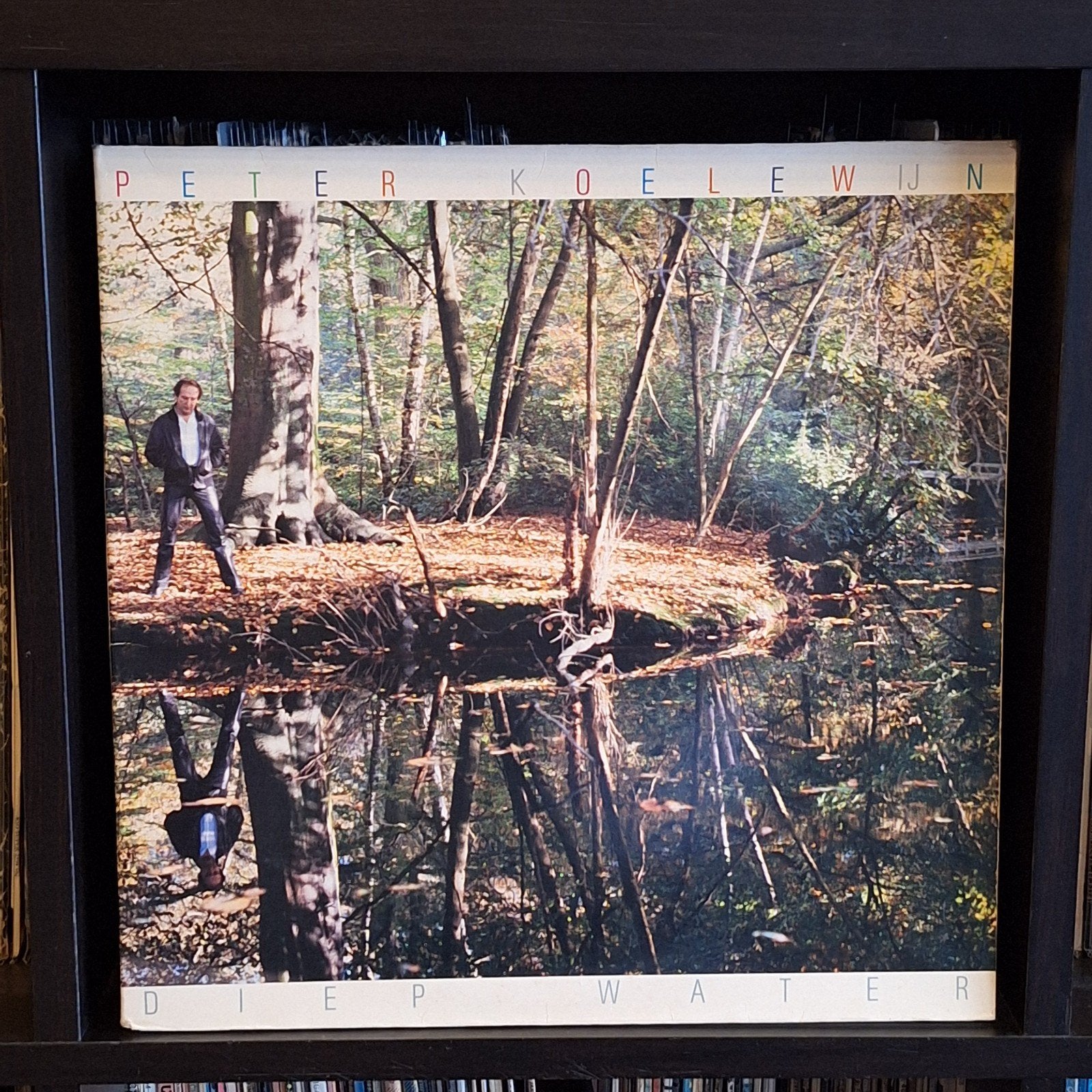 Peter Koelewijn - Diep Water (LP), Ophalen of Verzenden, Gebruikt, 12 inch, Pop