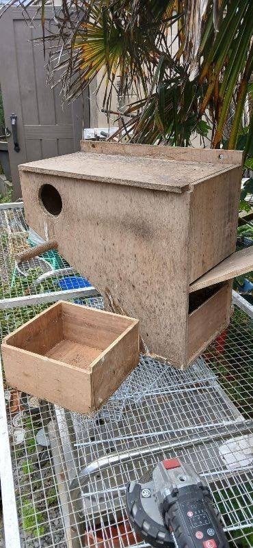 broedblok, Ophalen of Verzenden, Zo goed als nieuw, Hout, Broedkooi of Kweekkooi