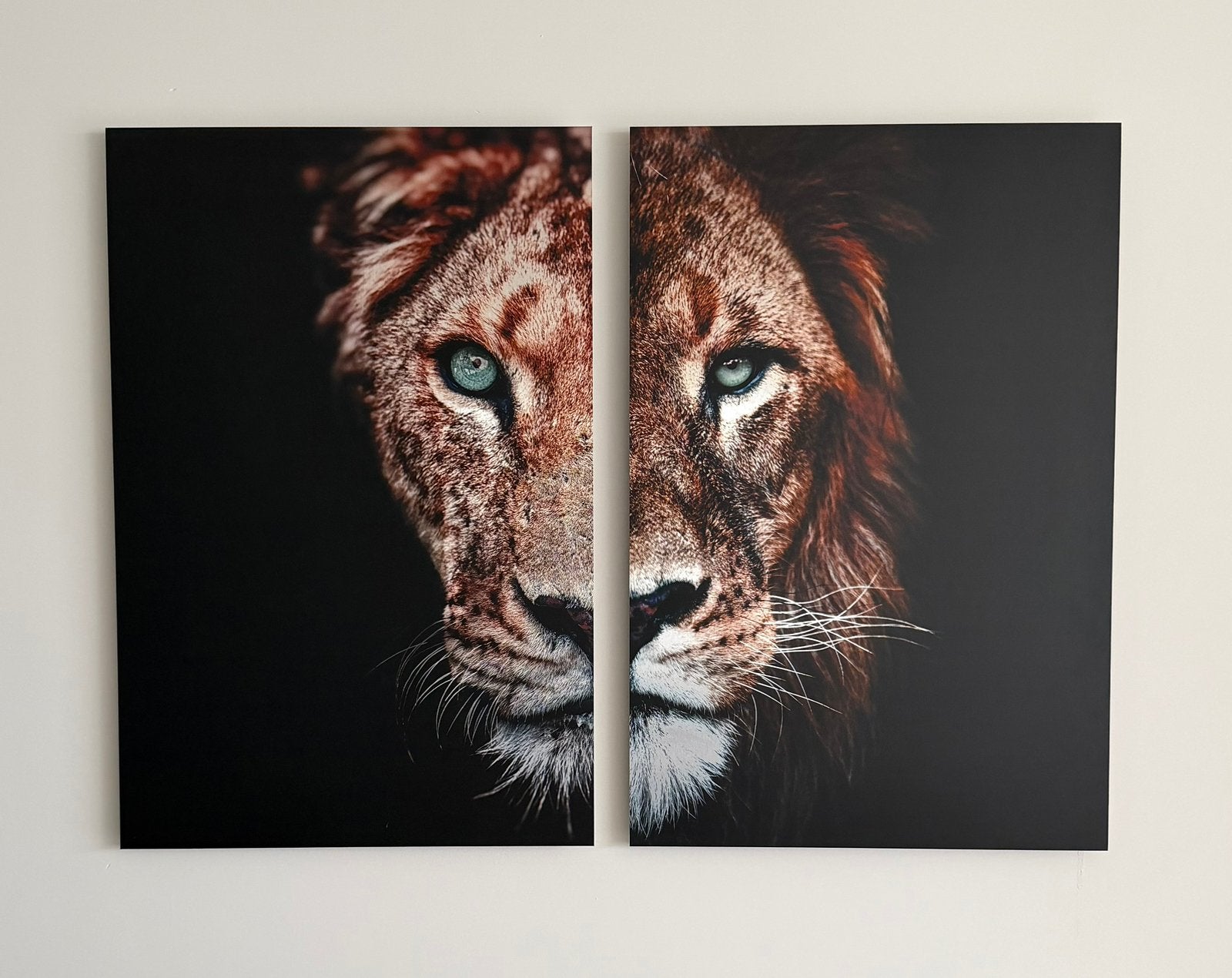 2 hoogwaardig aluminium schilderijen leeuwen, Ophalen of Verzenden, Zo goed als nieuw, Schilderij, 75 – 100