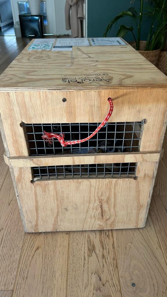 Custom Dog Crate, Ophalen of Verzenden, Zo goed als nieuw