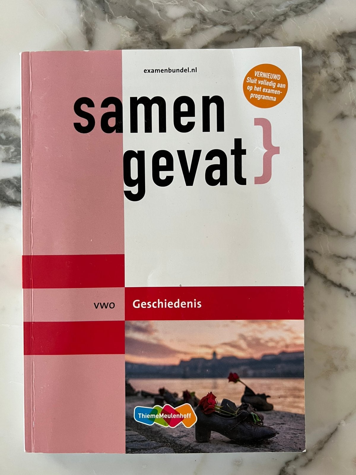 Samengevat geschiedenis VWO, Boeken, Schoolboeken, Ophalen of Verzenden, Zo goed als nieuw, VWO, Geschiedenis