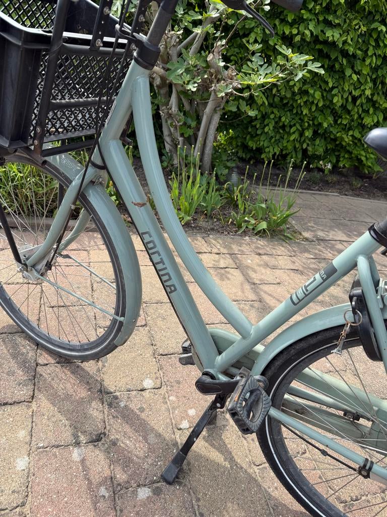 Cortina U1 Damesfiets - Lichtgroen met mand, Terugtraprem, 50 tot 53 cm, Ophalen, Overige merken