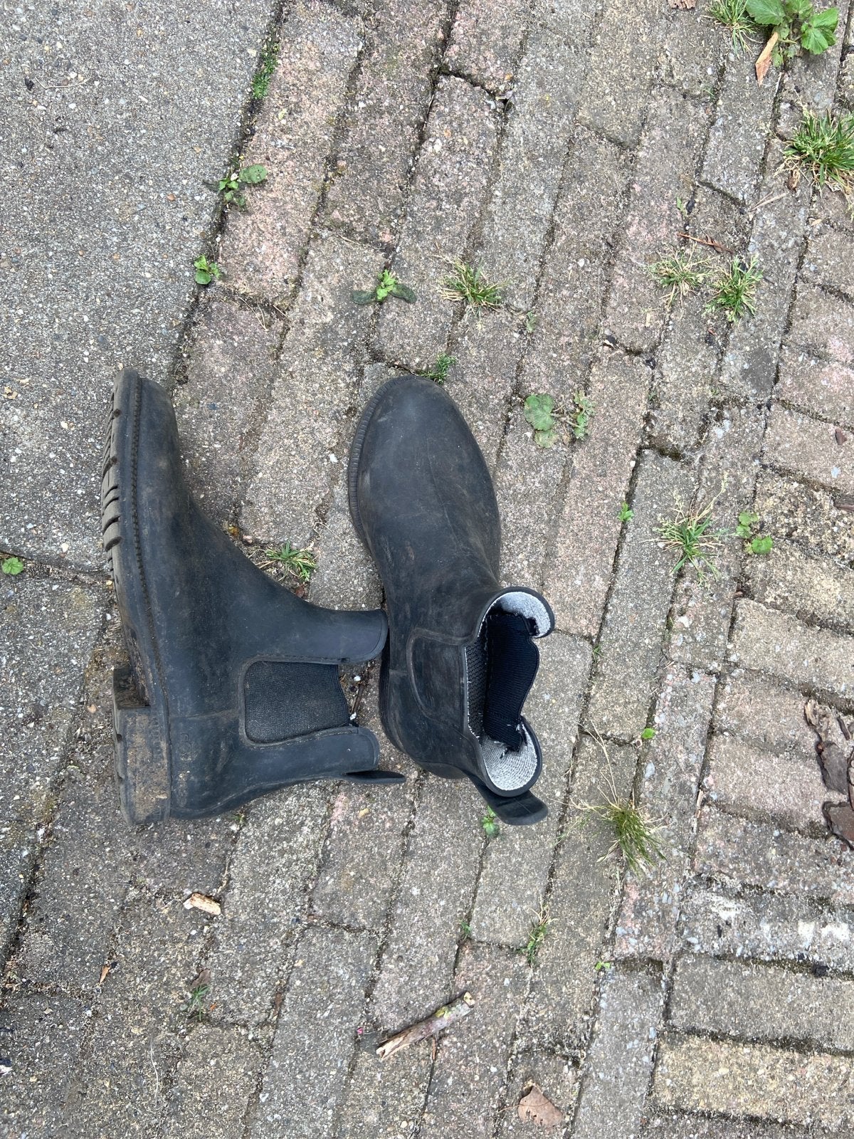 Paardrij schoenen, Dieren en Toebehoren, Ophalen of Verzenden, Schoeisel