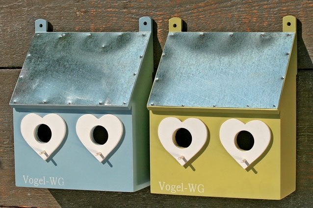 Leuk en origineel Vogelhuisje met hartjes, blauw, groen, Tuin en Terras, Vogelhuisjes en Vogelbaden, Ophalen of Verzenden, Nieuw