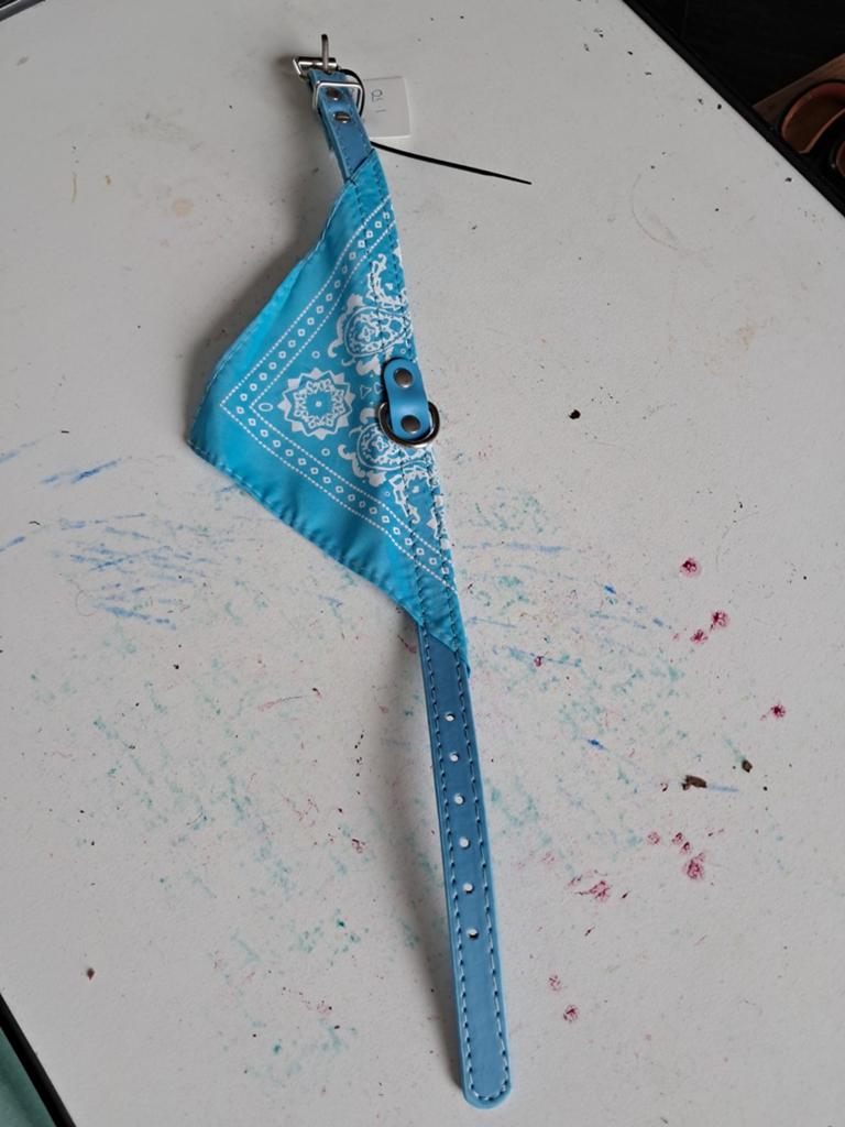 Halsband nr 826, Ophalen, Nieuw