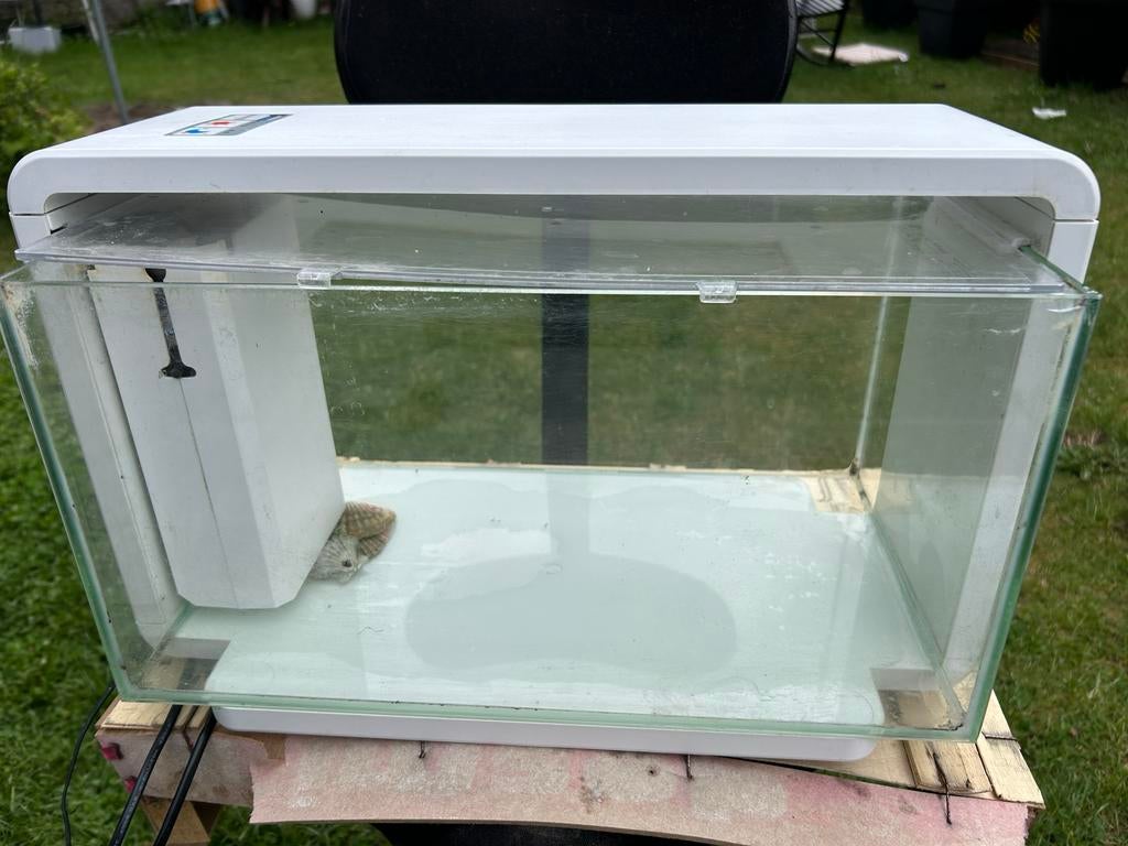 Aguarium, Dieren en Toebehoren, Ophalen, Zo goed als nieuw