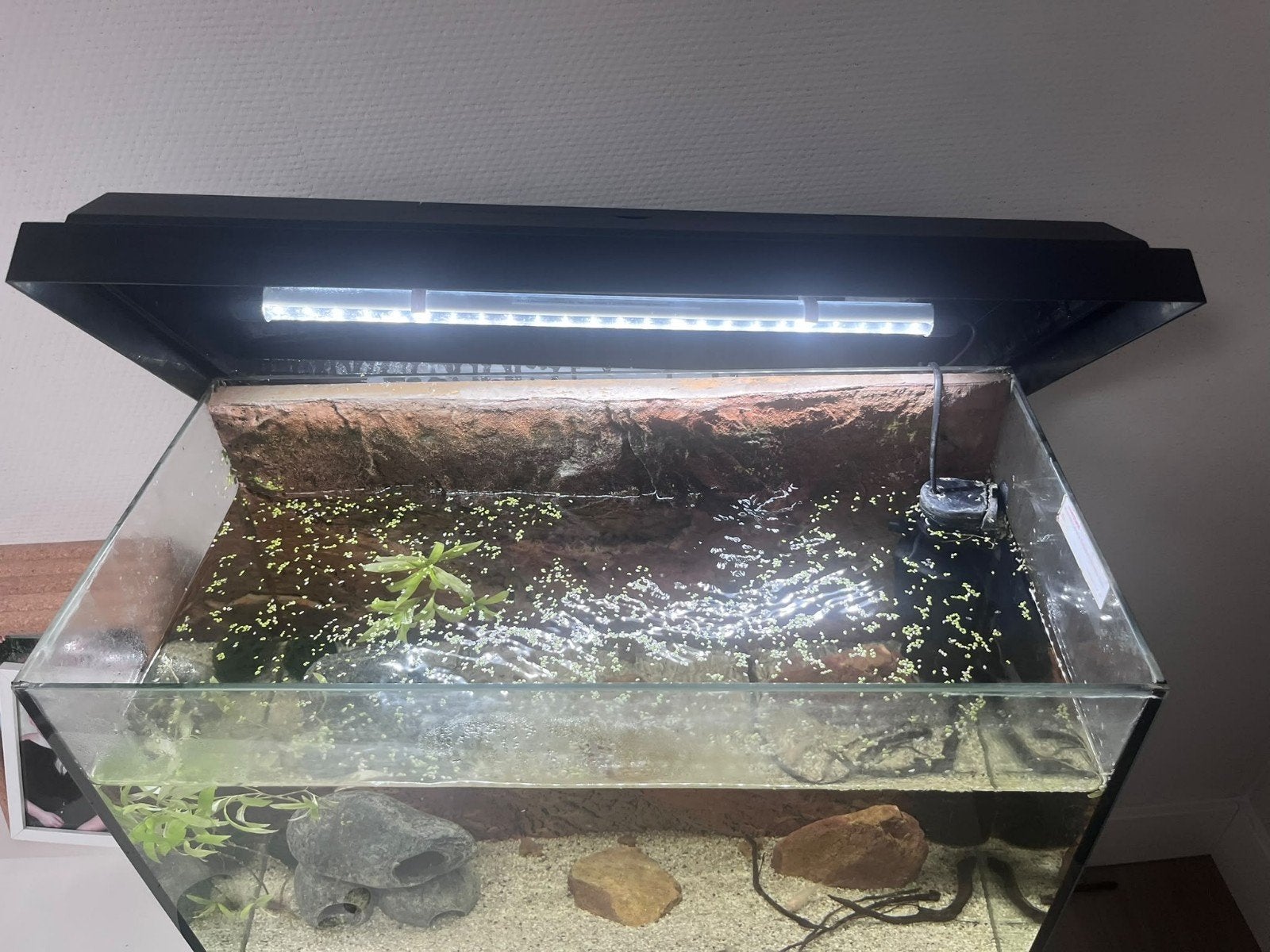 aquarium, Dieren en Toebehoren, Ophalen, Inclusief deksel, Leeg aquarium, Aquael