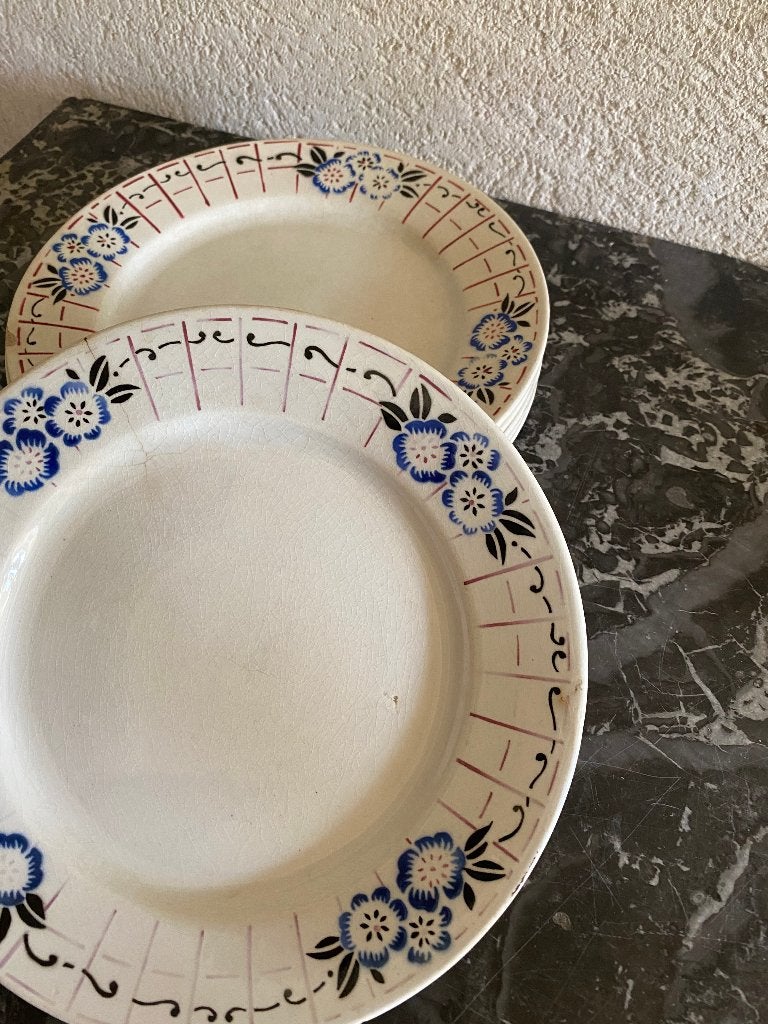 Brocante borden (6st) porcelaine opaque de gien, Ophalen of Verzenden