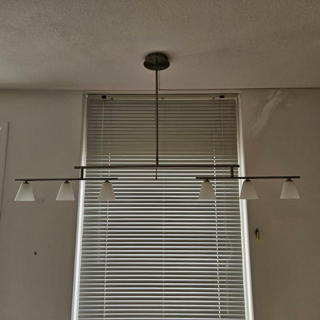 2x RVS Hanglamp, Huis en Inrichting, Lampen | Hanglampen, Ophalen, 50 tot 75 cm, Zo goed als nieuw, Metaal