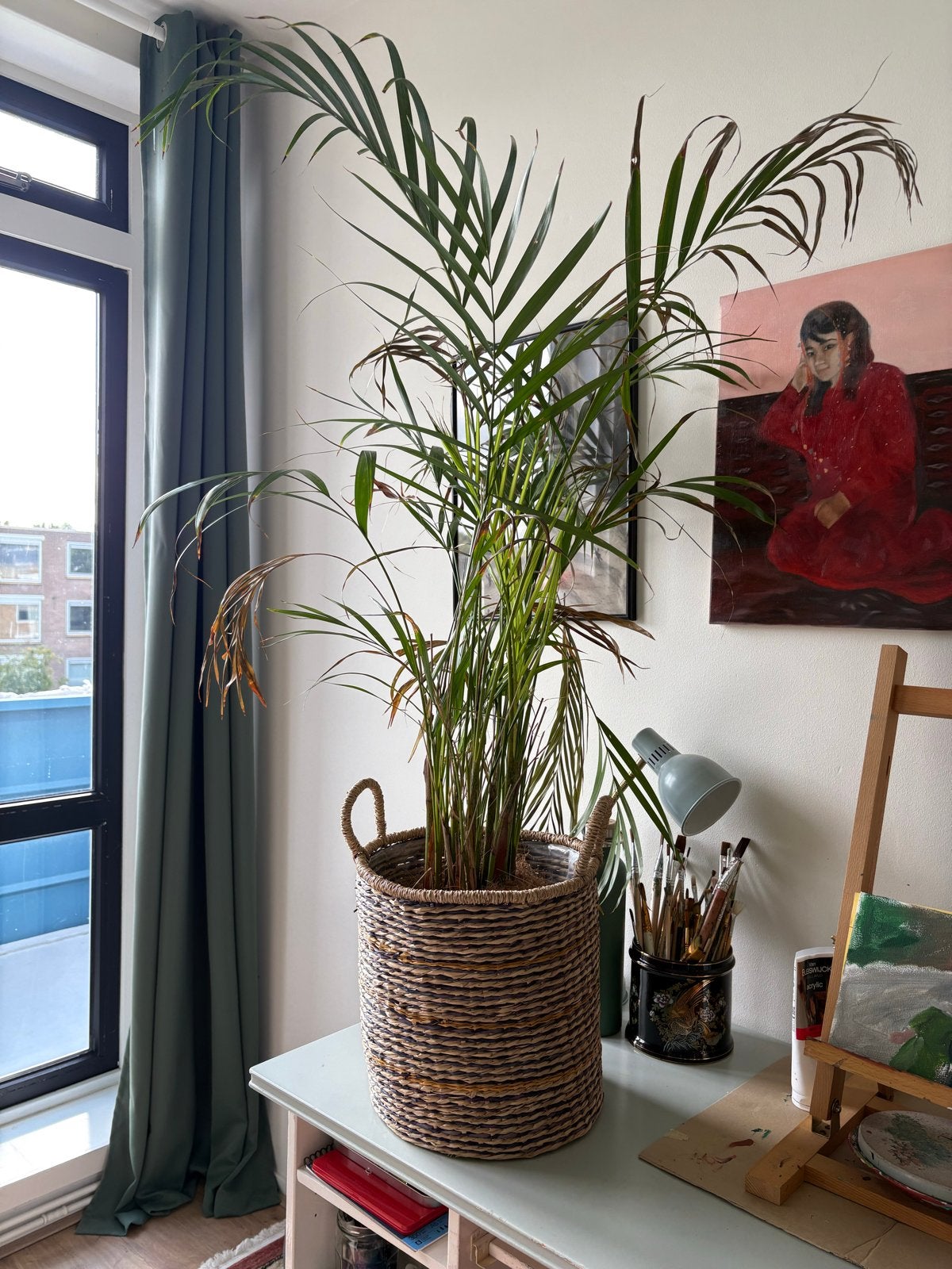 Grote palm (zonder pot), Huis en Inrichting, Kamerplanten, Ophalen, Palm, Halfschaduw, In pot