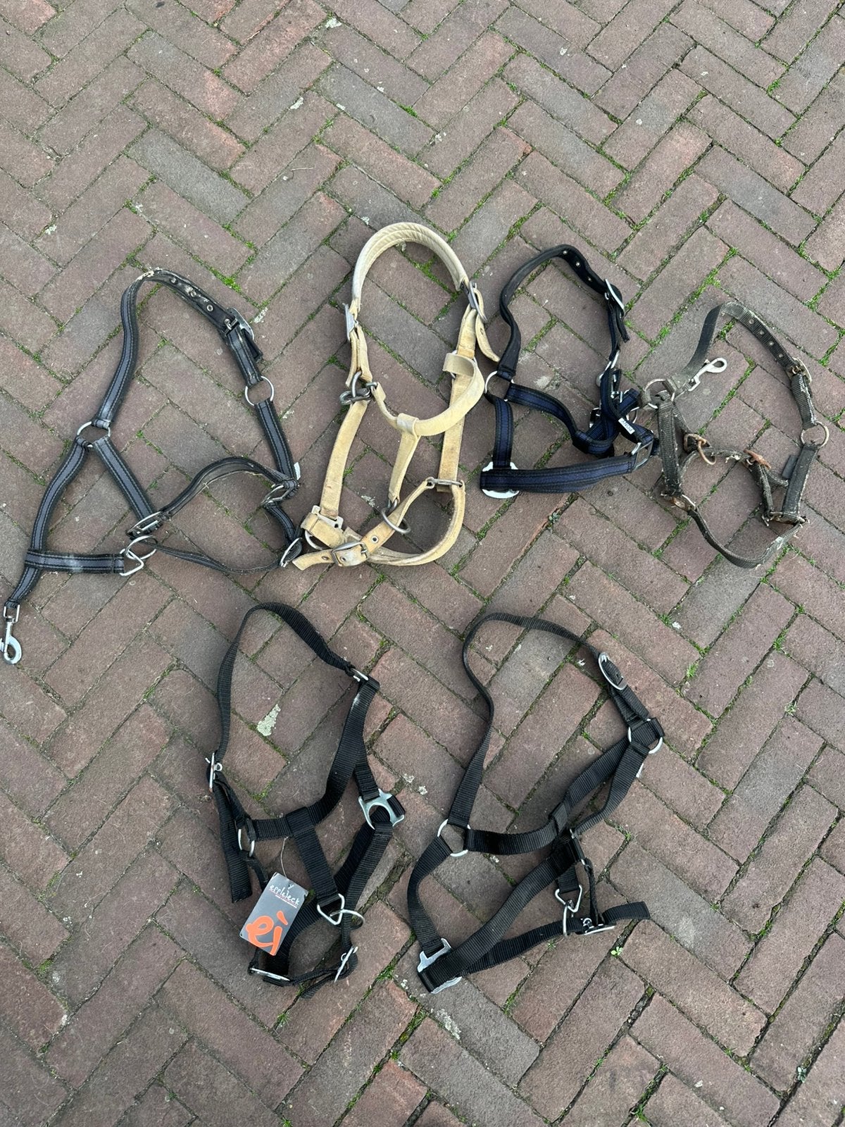 Paarden halsters, Ophalen of Verzenden, Gebruikt, Halster