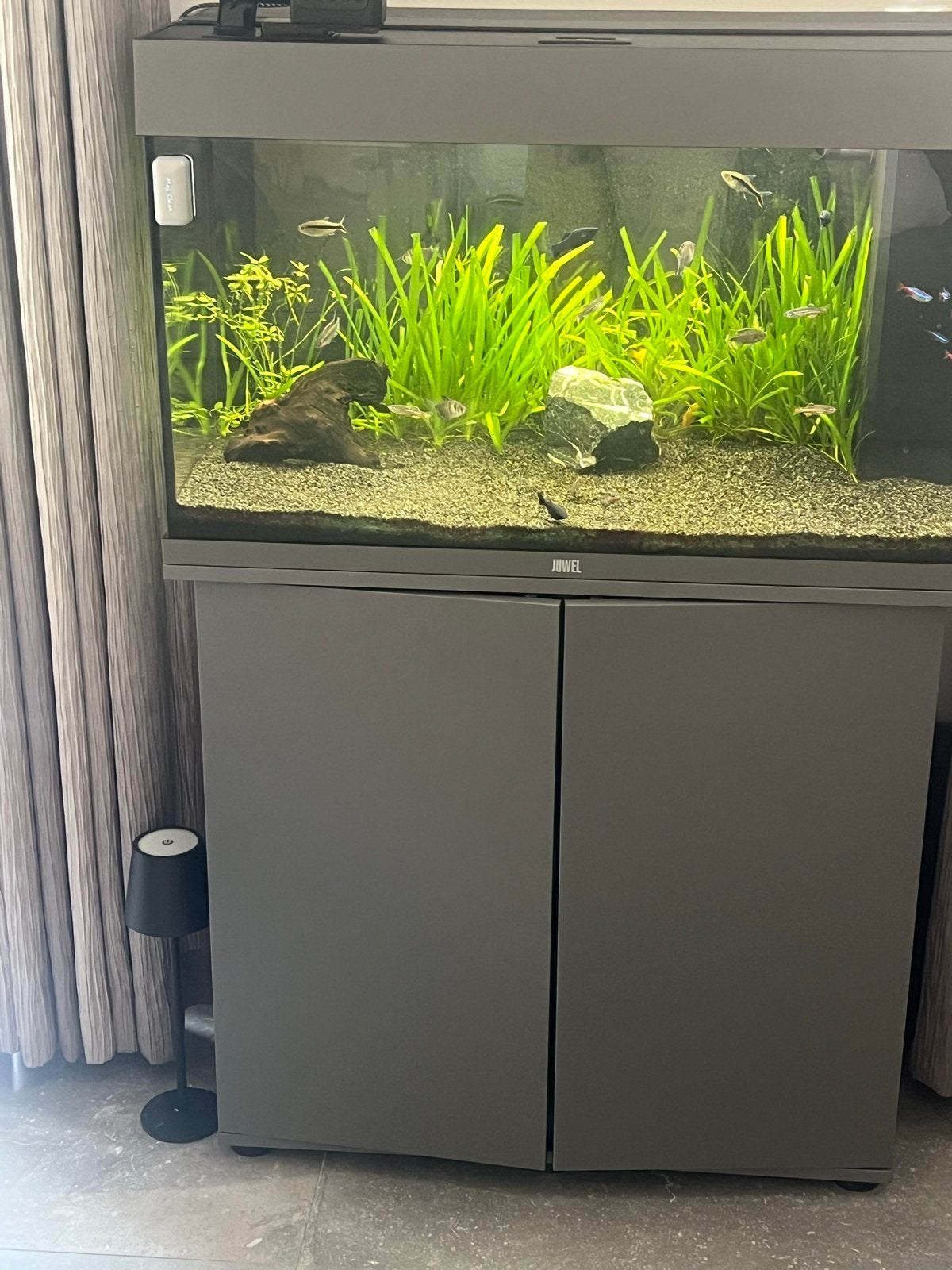 Juwel Rio 125, Dieren en Toebehoren, Ophalen, Aquariummeubel, Zo goed als nieuw, Inclusief vissen
