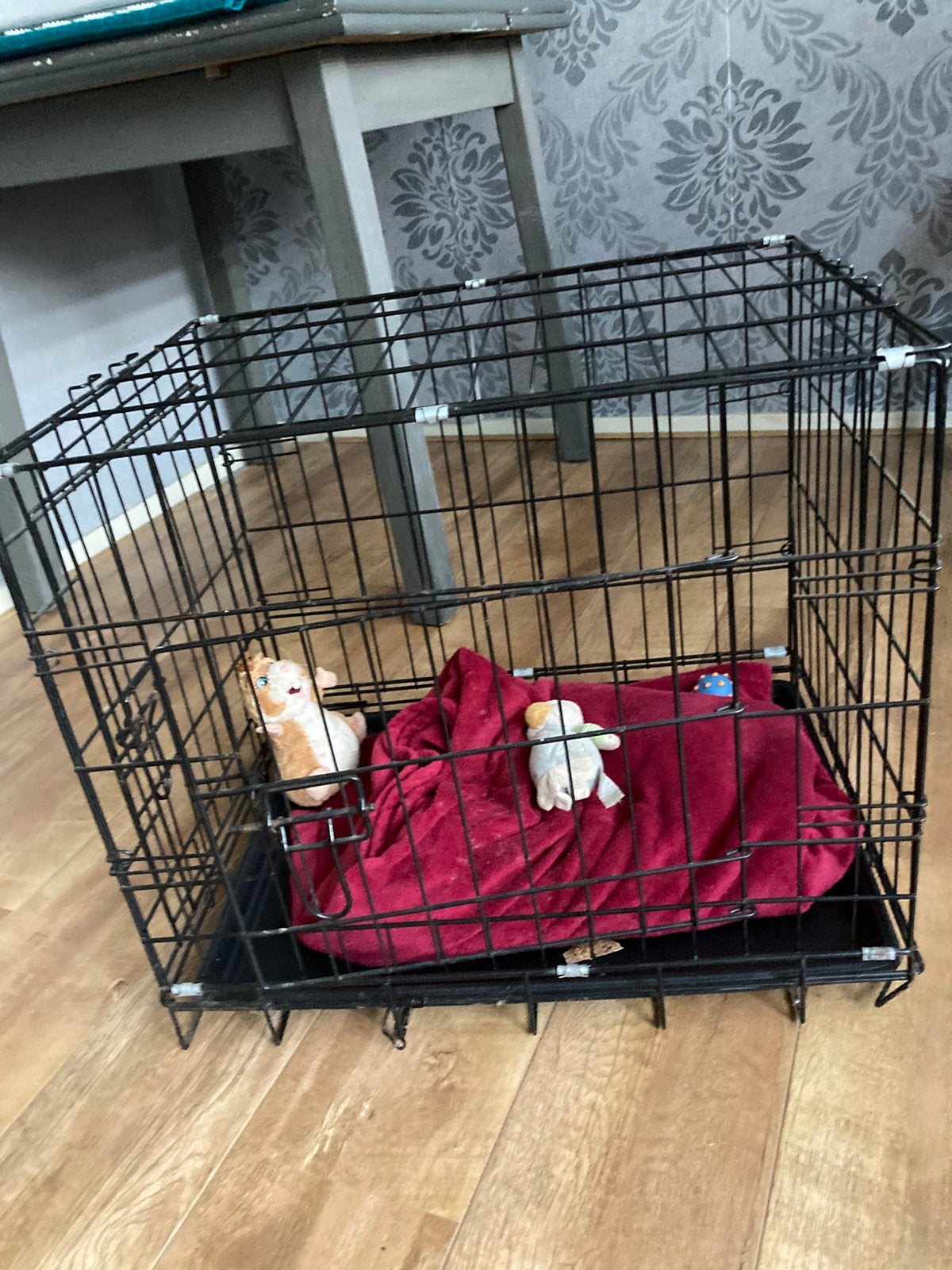 Bench voor een kleine hond, Dieren en Toebehoren, Ophalen of Verzenden, Zo goed als nieuw, Minder dan 75 cm, Minder dan 65 cm
