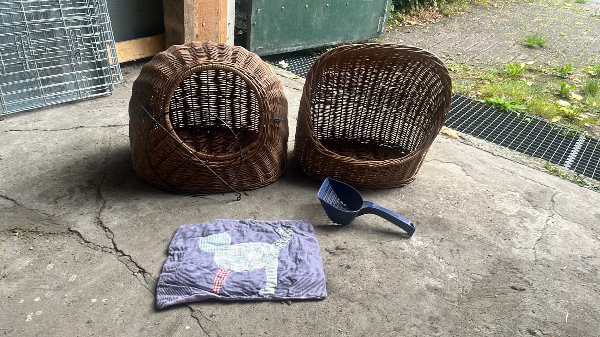 Katten manden 2 stuks, Ophalen, Gebruikt