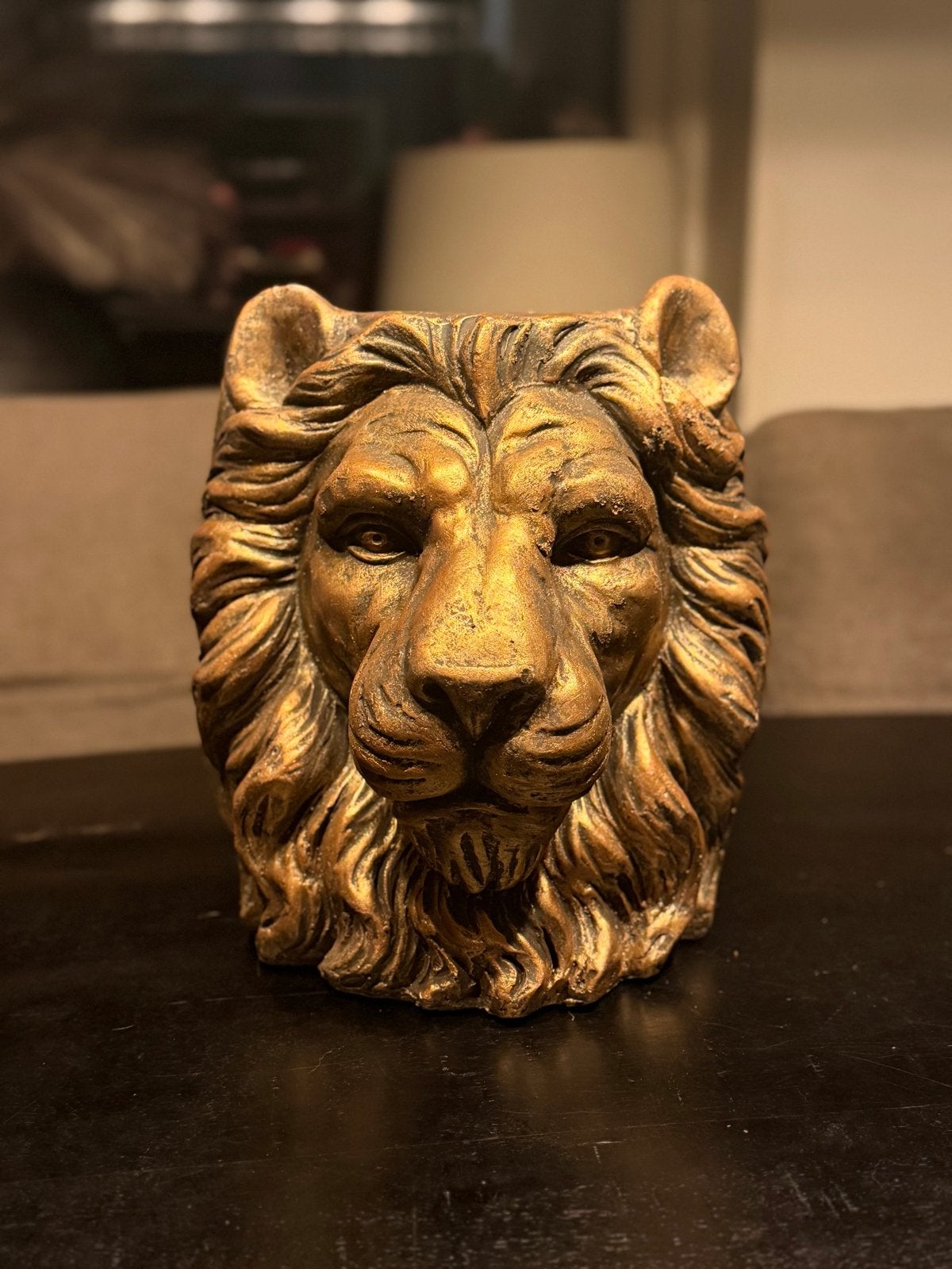 Decoratie set: Leeuwenkop, vazen, schalen en meer!, Ophalen, Zo goed als nieuw, Goud, Metaal
