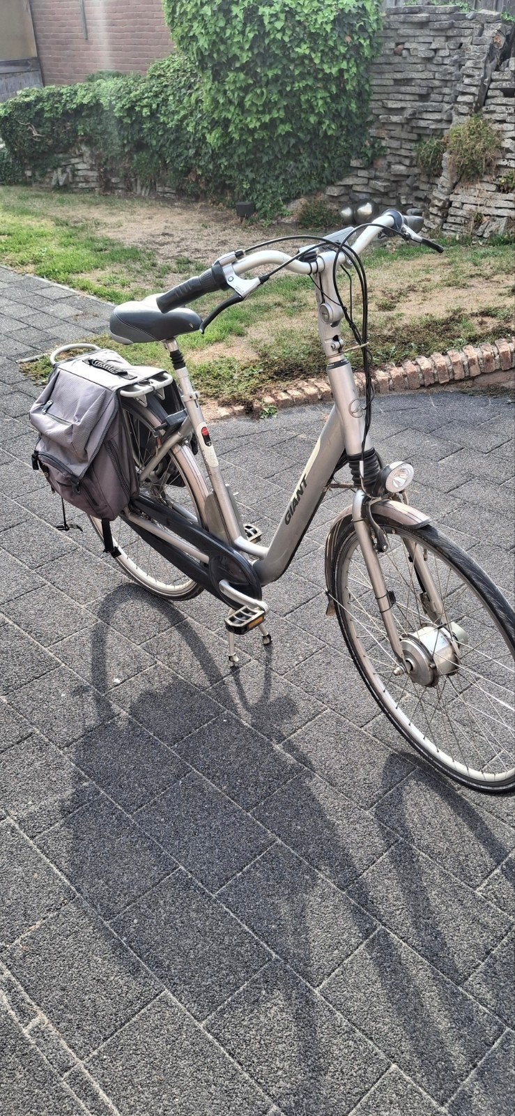 Giant Twist Go Double Power E-bike - Zilver, Ophalen, Gebruikt, Giant, 51 tot 55 cm