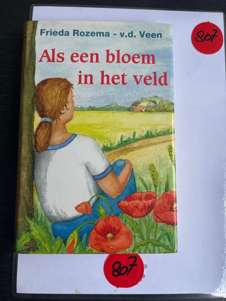 Als een bloem in het veld - Frieda Rozema, Ophalen of Verzenden, Zo goed als nieuw, Fictie algemeen