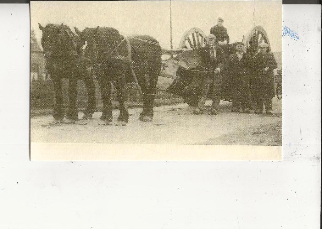 Dubbeldam Paarden met mallejan van Willem van Pelt, Ophalen of Verzenden, Ongelopen, Zuid-Holland