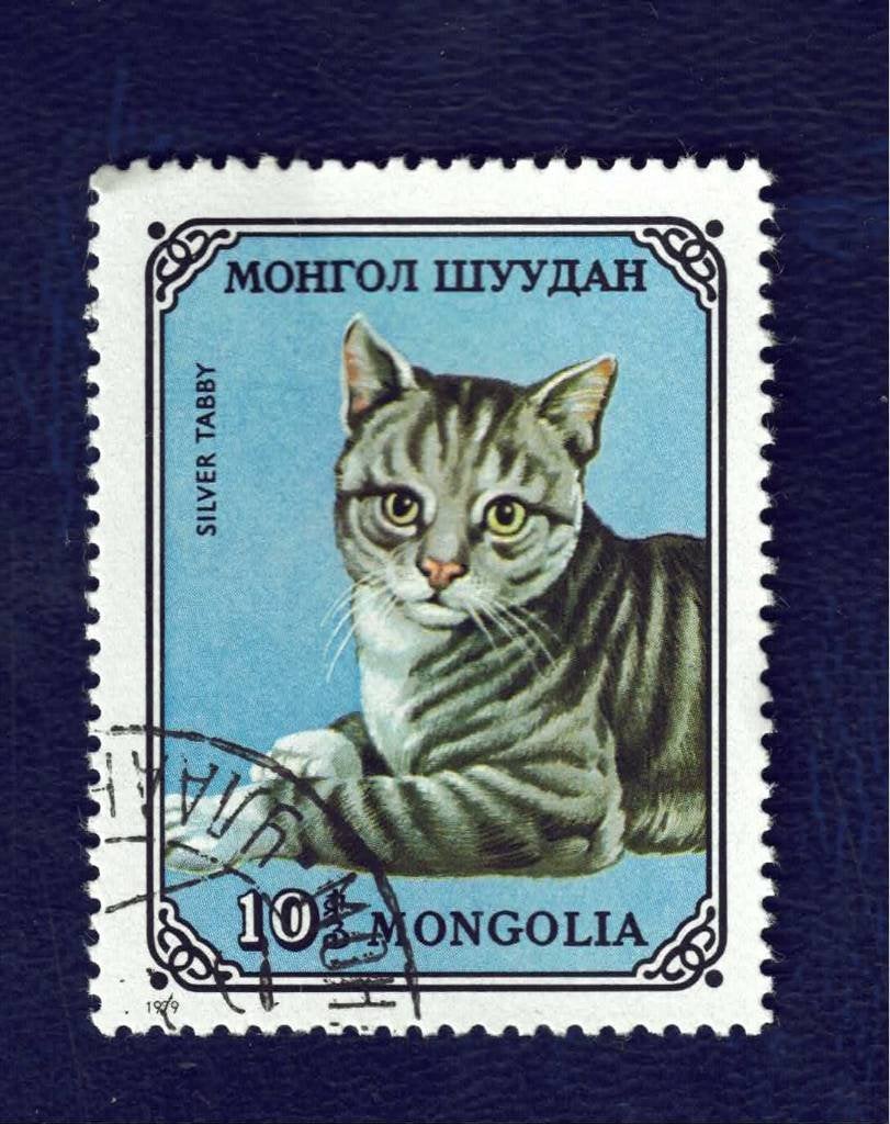 Fauna - Katten - Mongolia - 10 - gebr  - Silver Tabby - gebr, Ophalen of Verzenden, Gestempeld, Dier of Natuur