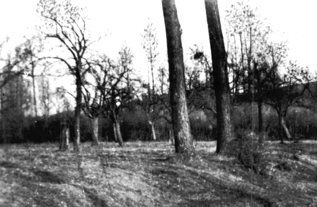 939531 Geulhem Houthem bij Valkenburg jr 50 Waterval, Verzamelen, Ansichtkaarten | Nederland, Ophalen of Verzenden, 1940 tot 1960