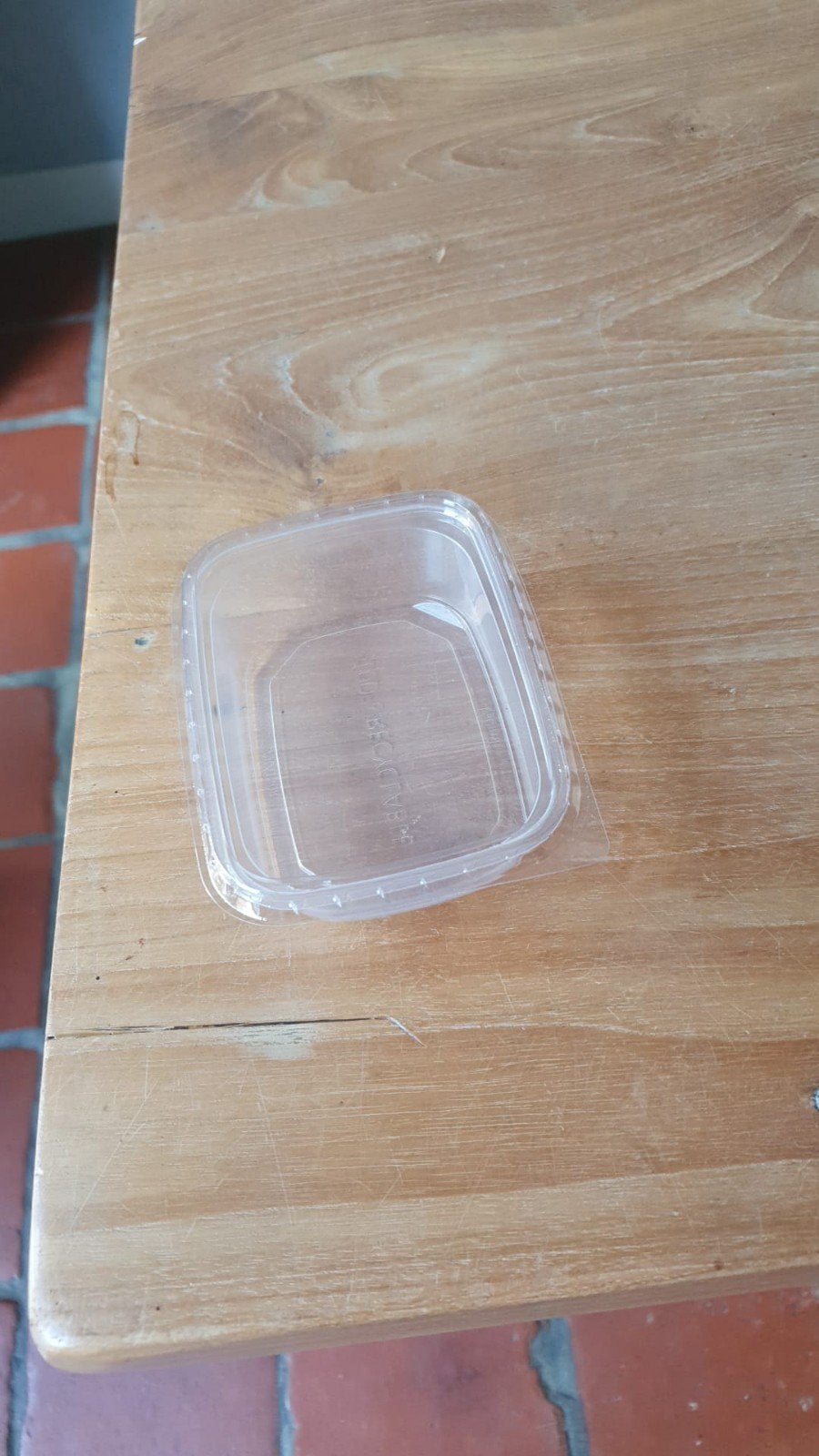 Plastic bakjes met deksel - 100 stuks, Overige typen, Kunststof, Nieuw, Ophalen of Verzenden