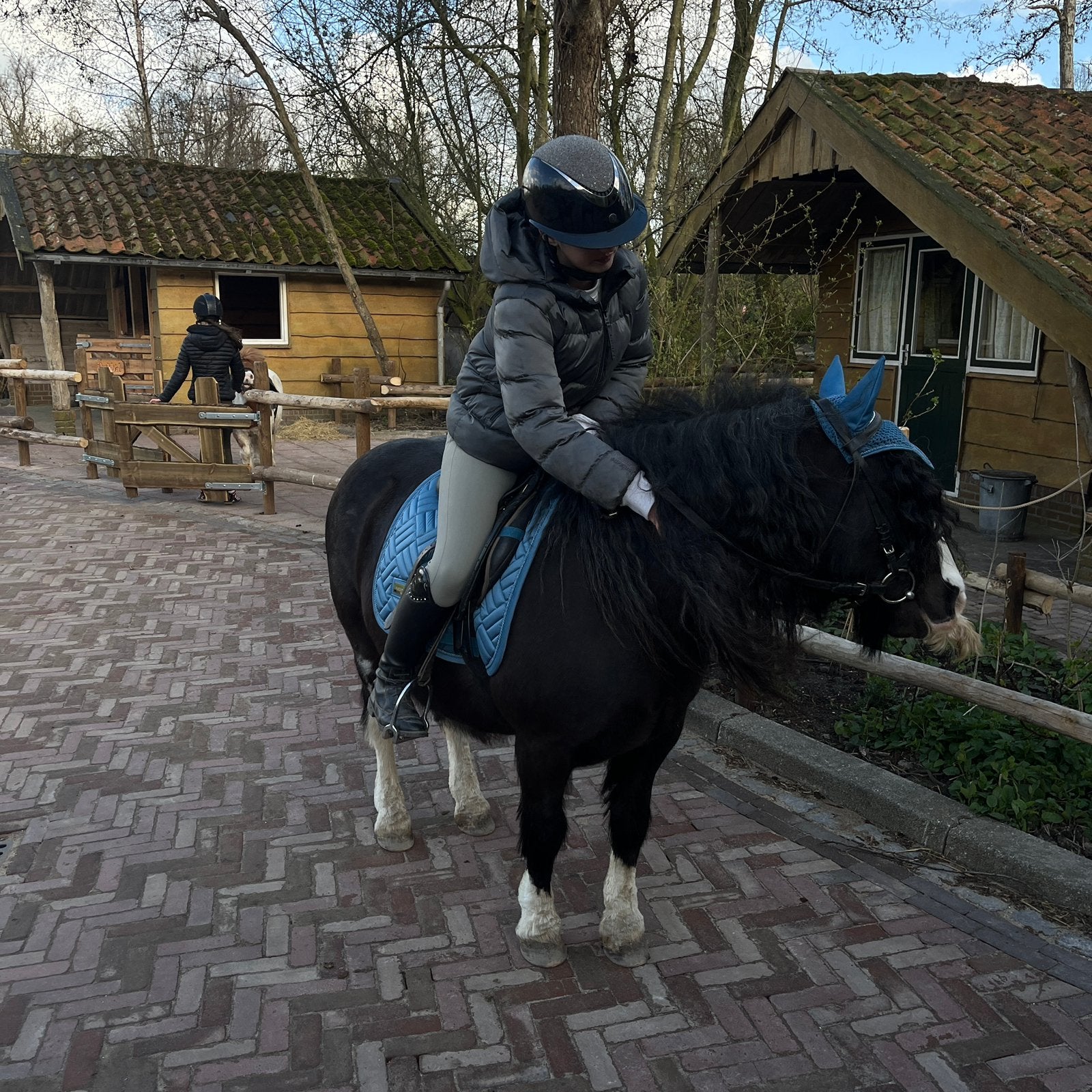 Verzorgpony gezocht!, Ophalen of Verzenden