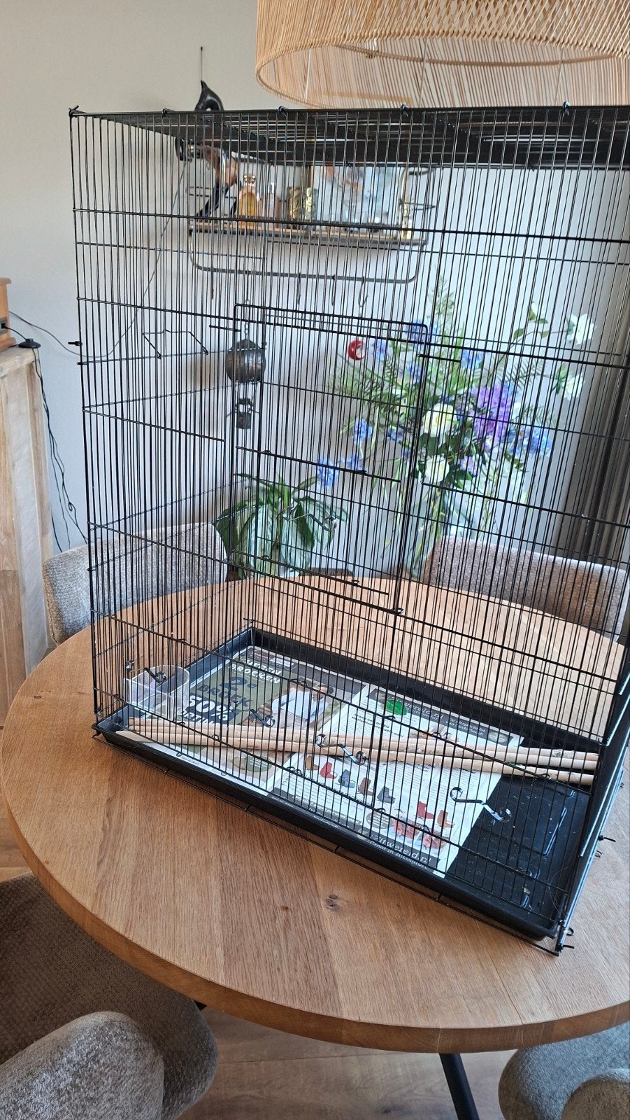Kamervoliere/ vogelkooi, Ophalen, Zo goed als nieuw, Metaal, Vogelkooi
