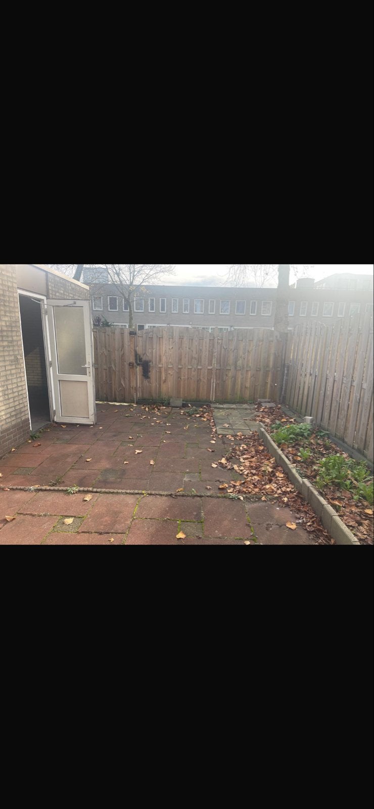 7 schuttingen en deur, Tuin en Terras, Schuttingen, Ophalen, 6 meter of meer, Hout, 1 tot 2 meter
