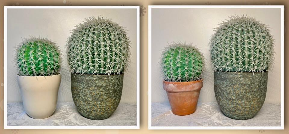 Nog 1 cactus  in bloempot, Tuin en Terras, Bloempotten, Zo goed als nieuw, Aardewerk, Minder dan 40 cm, Minder dan 25 cm, Rond