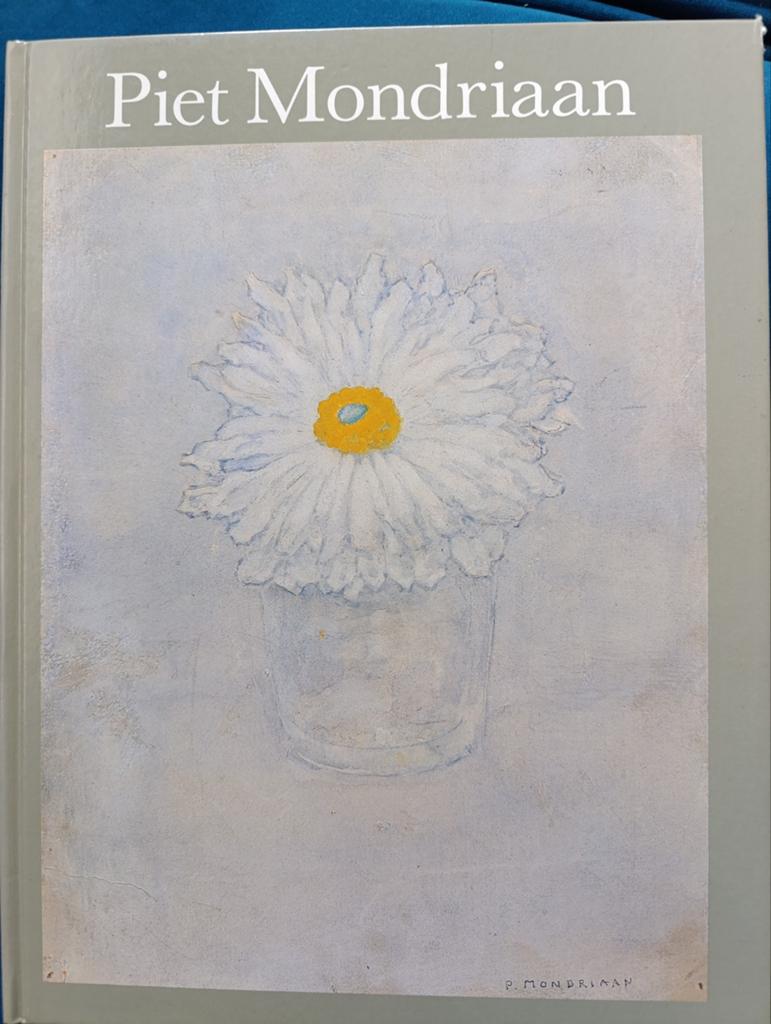 Piet Mondriaan Kunstboek - Schilderijen en Tekeningen, Ophalen of Verzenden, Zo goed als nieuw, Schilder- en Tekenkunst, Piet Mondriaan