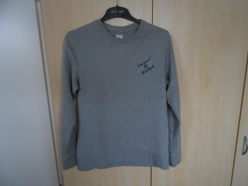 Mooie grijze sweater maat L van The Goodpeople, The Goodpeople, Maat 52/54 (L), Ophalen of Verzenden, Grijs