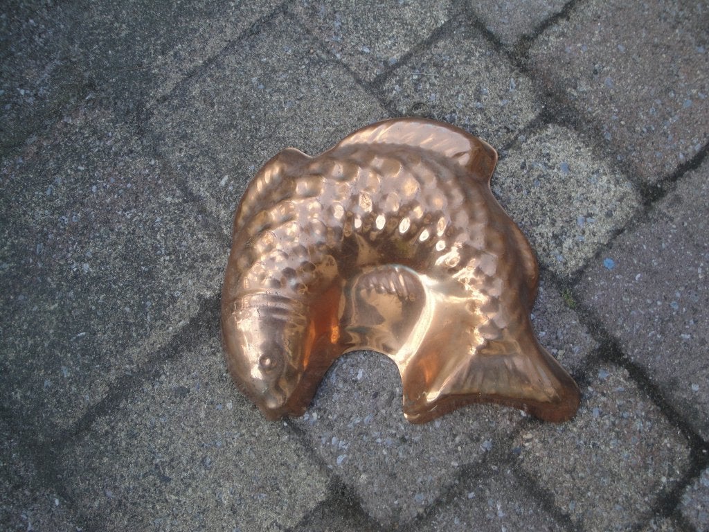 messing vis, Ophalen of Verzenden
