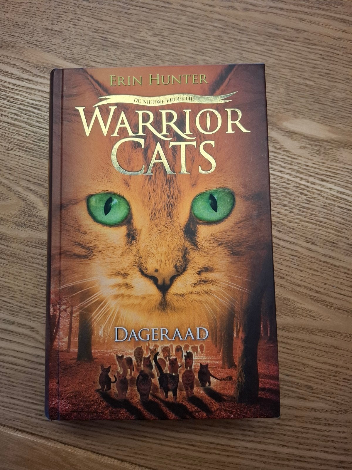 Warrior Cats: Dageraad - Erin Hunter (De Nieuwe Profetie), Boeken, Ophalen of Verzenden, Zo goed als nieuw, Erin Hunter