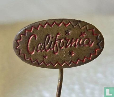 Speldje - California, Ophalen of Verzenden, Gebruikt, Merk, Speldje of Pin