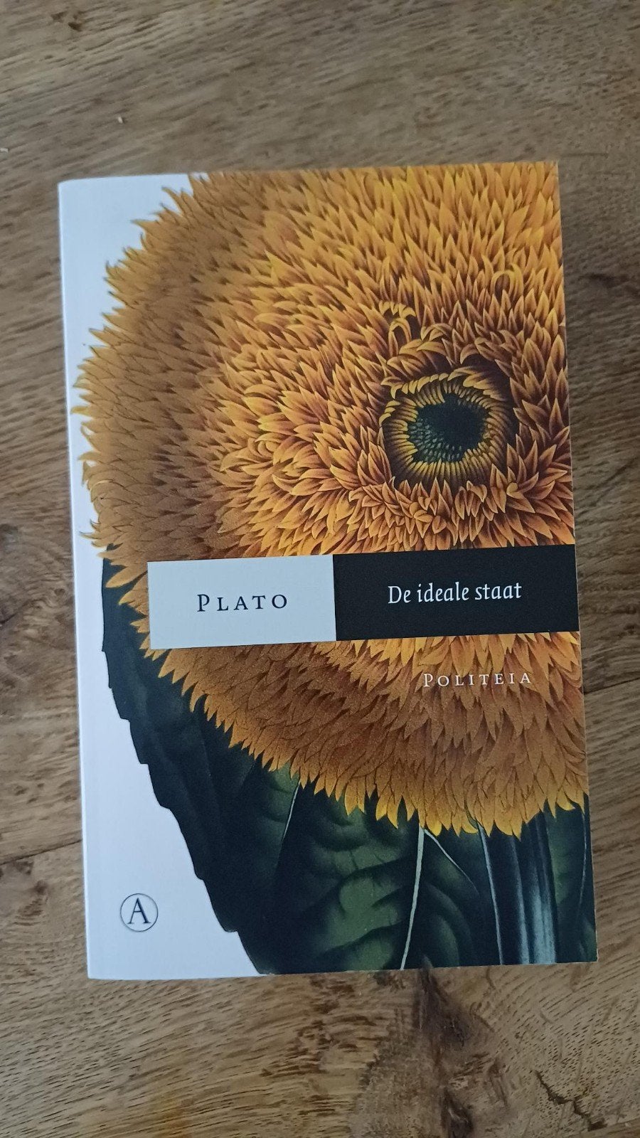 Plato - De ideale staat, Ophalen of Verzenden, Zo goed als nieuw, Plato