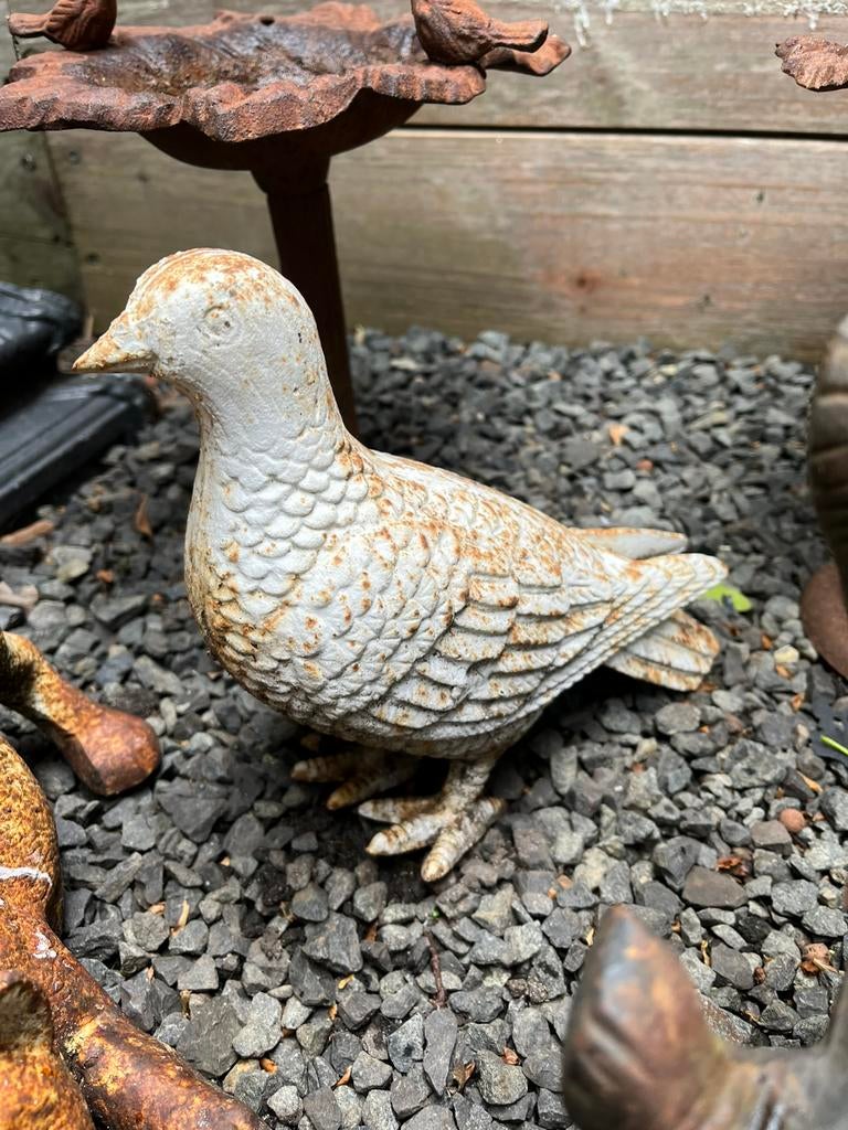 Gietijzeren vintage duif, Tuin en Terras, Tuinbeelden, Ophalen, Gebruikt, Overige materialen, Dierenbeeld