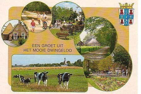 Ansichtkaart 	Dwingeloo	6-luik	Koeien, Verzenden, 1980 tot heden, Gelopen, Drenthe